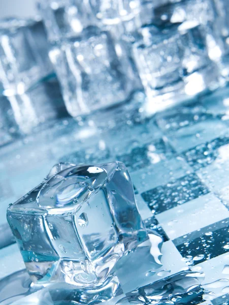 Cubi di ghiaccio in luce ambientale blu. Buono per lo sfondo — Foto Stock